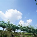 죽산축산 이미지