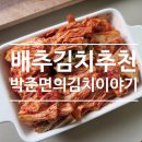 김치 | 배추김치 추천 박준면의 김치이야기 후기