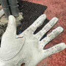 1273 | 나이키골프장갑 테크익스트림7 (CV1273-024) 구매 후기