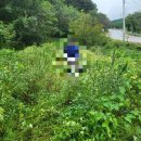 무주장의사 네이버블로그