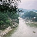 지트코리아 이미지