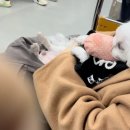 김진욱농장 | 일기 : 격리해제~스위스그랜드호텔 숙박 후기