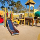 삼성현유치원 이미지