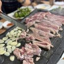 오리명가 고향정 이미지