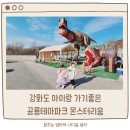 강화도 아이랑 가기좋은 몬스터리움