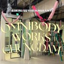 Fun휘트니스 | 옴니바디웍스청담에서 번지펀 Bungee Fun 수업 들은 후기
