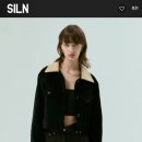 실른 SILN