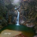 비무장지대 이미지