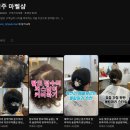 이언주마벨샵 이미지