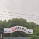135 | [남양주 다산]'왕릉순두부보쌈' 남양주 로컬 한식 맛집 후기