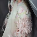 메이에르진 이미지