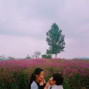 대산체육공원 이미지