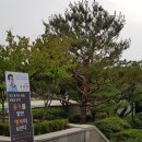 동기를 알면 행복이 보인다. 이미지