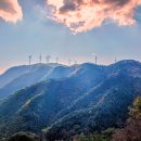 세곡목장 이미지