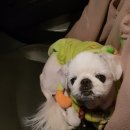 수영종합동물병원 이미지