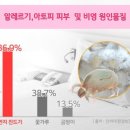 본 힐링하우스 이미지