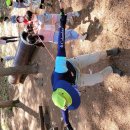 천전초병설유치원 이미지