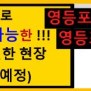 메타플렉스 이미지