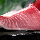 산호가든 이미지