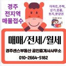 보우근화 이미지