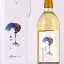 플랜커피