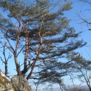 서면 안보2리 이미지