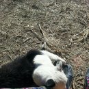 재룡농장 이미지