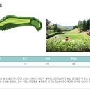 라비돌 이미지