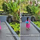 나마카