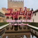 알함브라 | [그라나다 알함브라 궁전] 혼자 보면 절반도 모르고 나와요｜고고스페인 알함브라 투어 솔직 후기