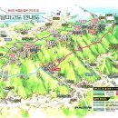 달마고도 Daum카페