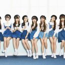 더블유엠그룹