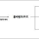 심장질환예방과 치료 이미지