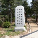 영응대군 묘 및 신도비 | 세종의 여덟번 째 아들 영응대군(永膺大君) 이염(李琰)의 묘소와 신도비