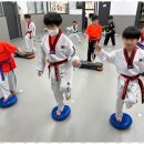 태비태권도 이미지