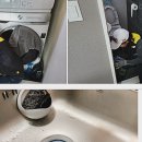 수성다듬이 이미지