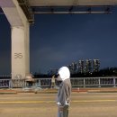 리플렉스 A 이미지