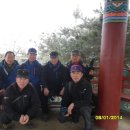 (주)청마여행사 이미지