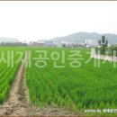 새재공인중개사사무소 이미지