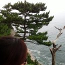왓다민박 이미지