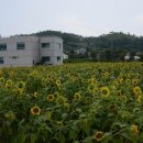 팔금종합복지타운 이미지