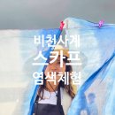 비천농장 네이버블로그