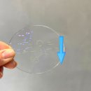 눈에빛안경콘택트 이미지