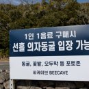 제주 함덕,조천 카페추천 [비케이브] 숲의아이 촬영지 후기