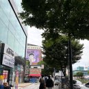 예은교회 | (1-3)평화민주답사 후기- 그날의 빛, 오늘의 우리 (명동팀)