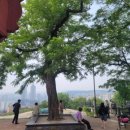 월곡근린공원1 이미지