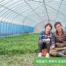 모듬살이 이미지