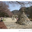 그린세탁 이미지