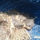 가재골농장 이미지