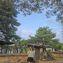 다향방 - 114189 | 경주 가족펜션 추천 한옥호텔에서 7명이 묵은 2박3일